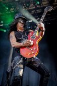 Concert solo 2014 0711_ottawa slash (18)